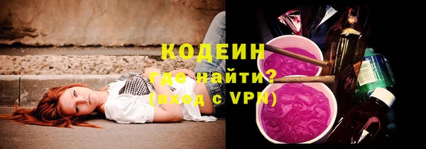 прущие грибы Верея