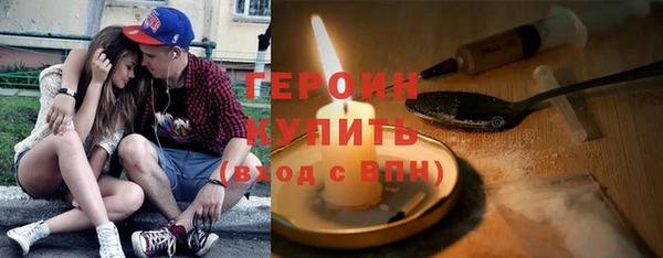 прущие грибы Верея