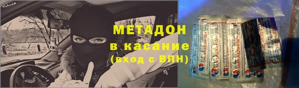 прущие грибы Верея