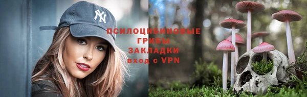 прущие грибы Верея