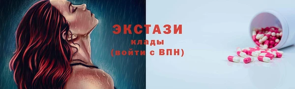 прущие грибы Верея
