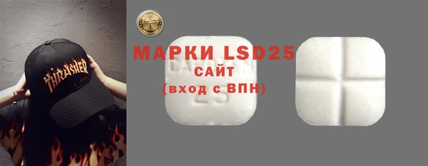 прущие грибы Верея