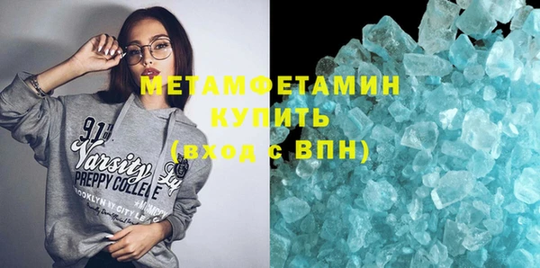 прущие грибы Верея