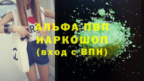 прущие грибы Верея