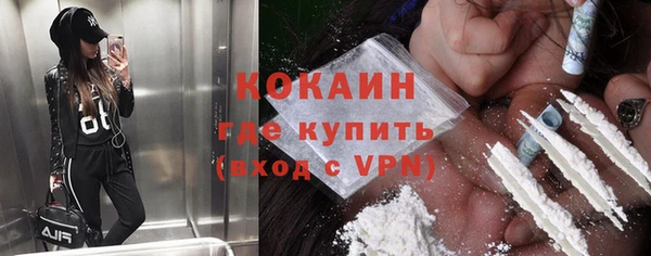 прущие грибы Верея