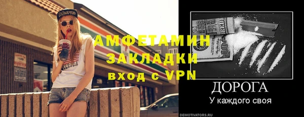 прущие грибы Верея